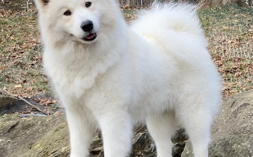 Young Deeva posing on rocks